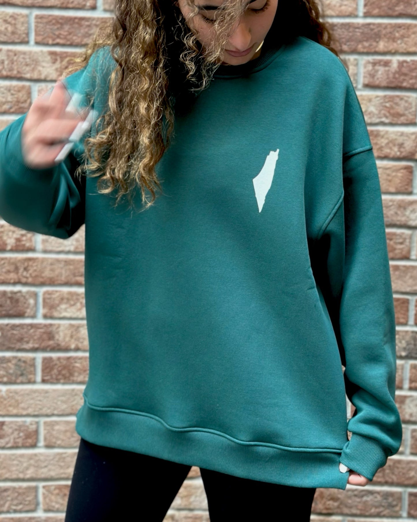 The map sweatshirt