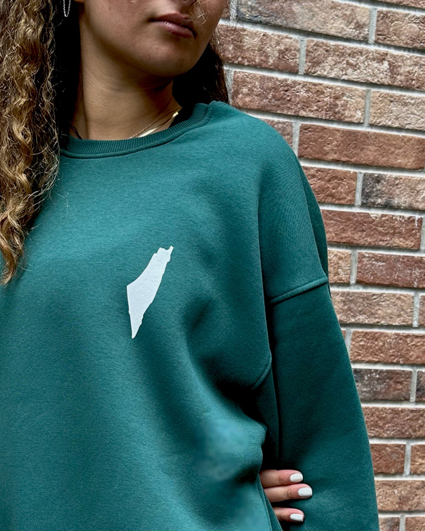 The map sweatshirt
